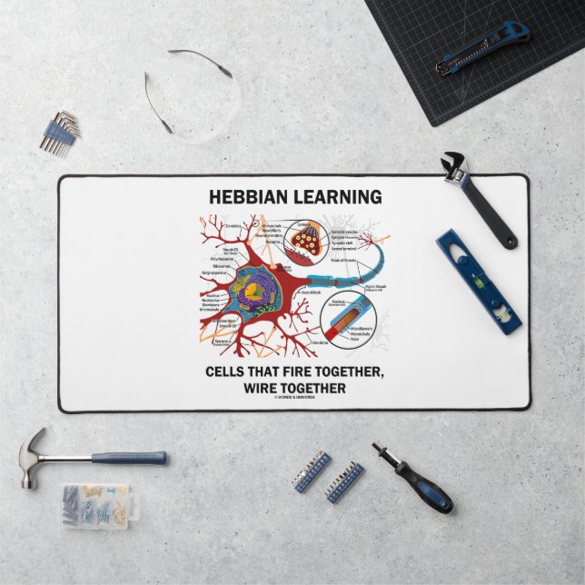 Cellules d'apprentissage hebbien : Tirer ensemble, (Poste de travail)