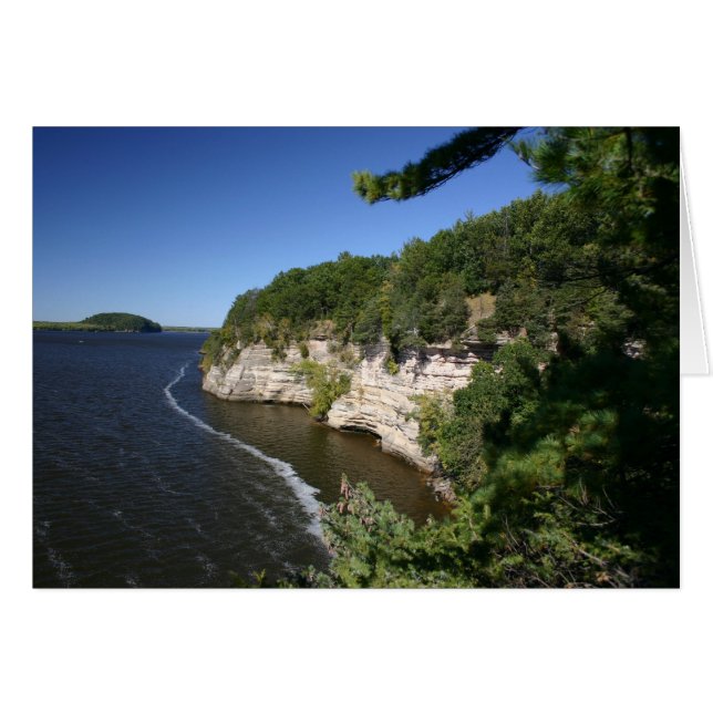 Cellules WI (Devant horizontal)