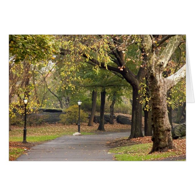 Central Park (Devant horizontal)