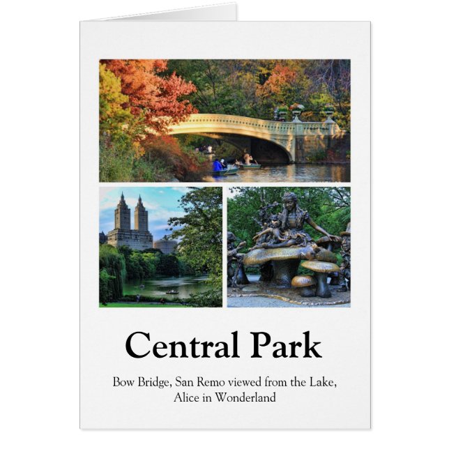 Central Park : Cintrez le pont, San Remo, Alice (Devant)
