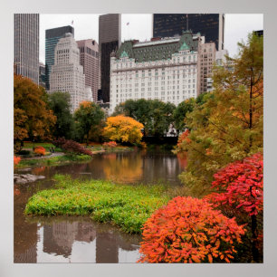 Central Park en affiche d'automne