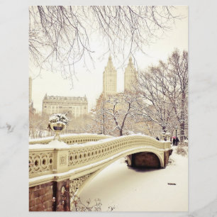 Central Park Neige - Hiver New York
