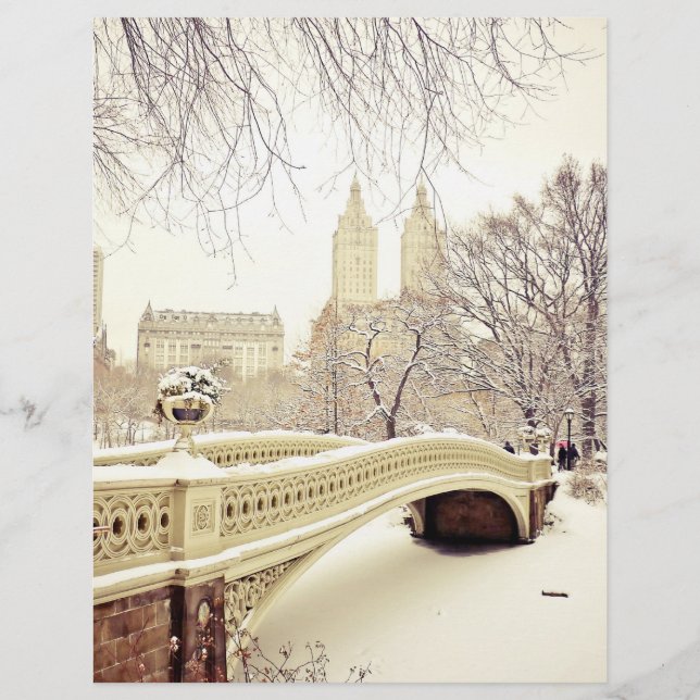 Central Park Neige - Hiver New York (Devant)
