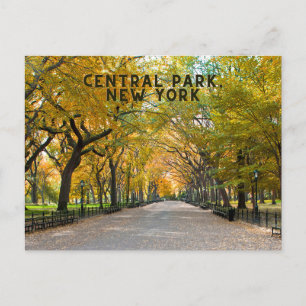 Central Park, New York Carte postale Souvenir