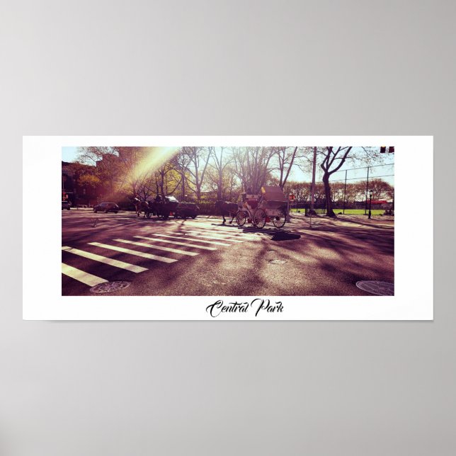 CENTRAL PARK NEW YORK POSTER (Devant)