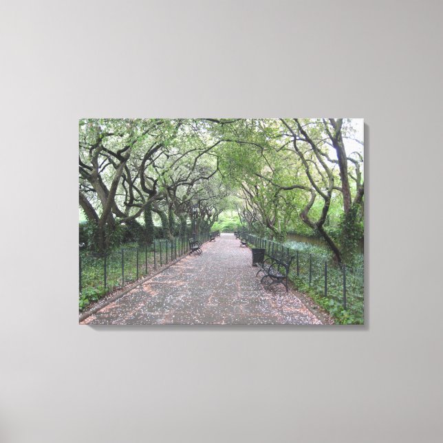 Central Park NYC Conservatoire Jardin Photo Toile (Recto)