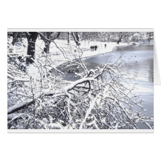 Central Park Winter Lake
