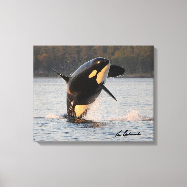 Centre de recherche sur les baleines - toile Impri (Recto)