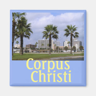 Centre-ville Corpus Christi Texas Souvenir Magnet