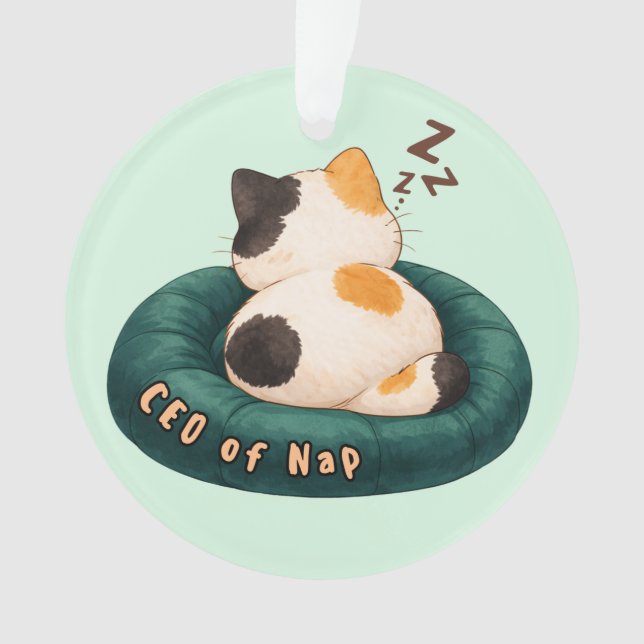 "CEO of Nap" Cat Sleeping on The Couch (devant)