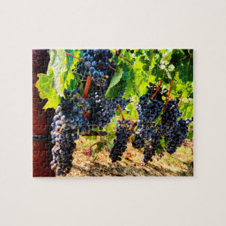 Cépages de vin Jigsaw Puzzle