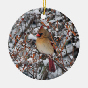 Céramique Cardinal en ornement de neige
