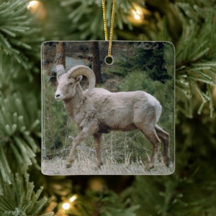 Céramique Rocky Mountain Big Horn Sheep Ornement en céramiq