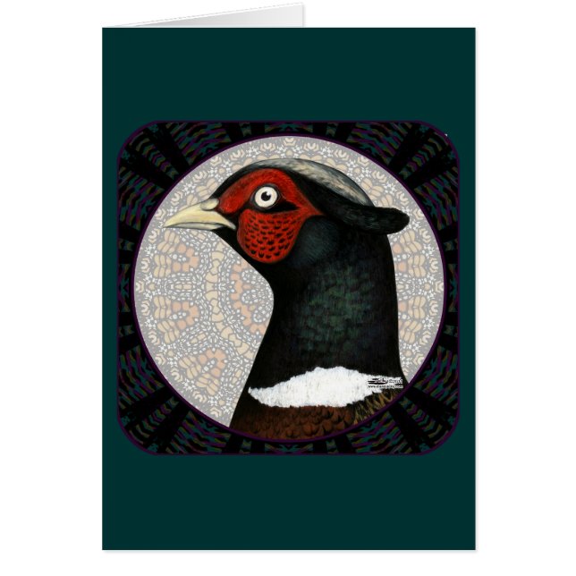 Cercle de faisan Ringneck (Devant)