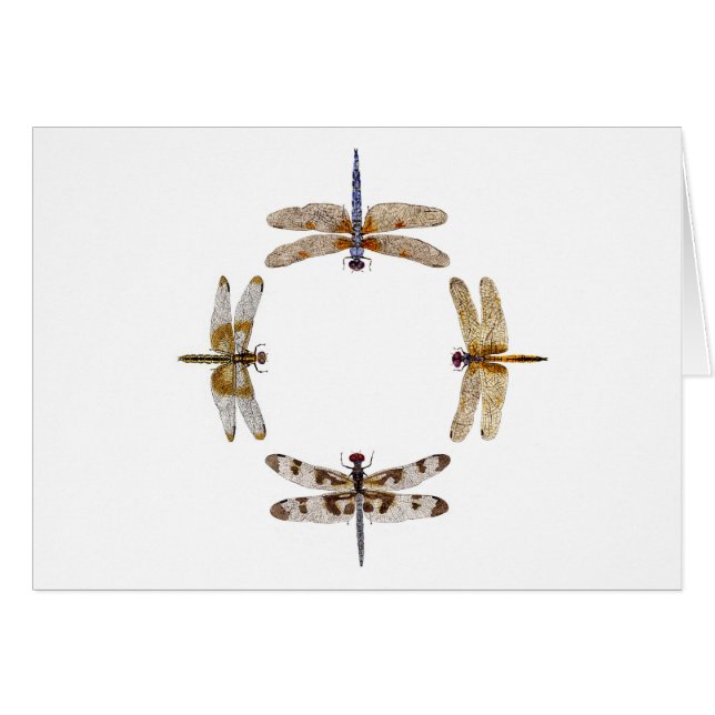 Cercle des libellules (Devant horizontal)