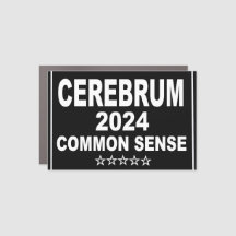 Cerebrum 2024 aimant voiture