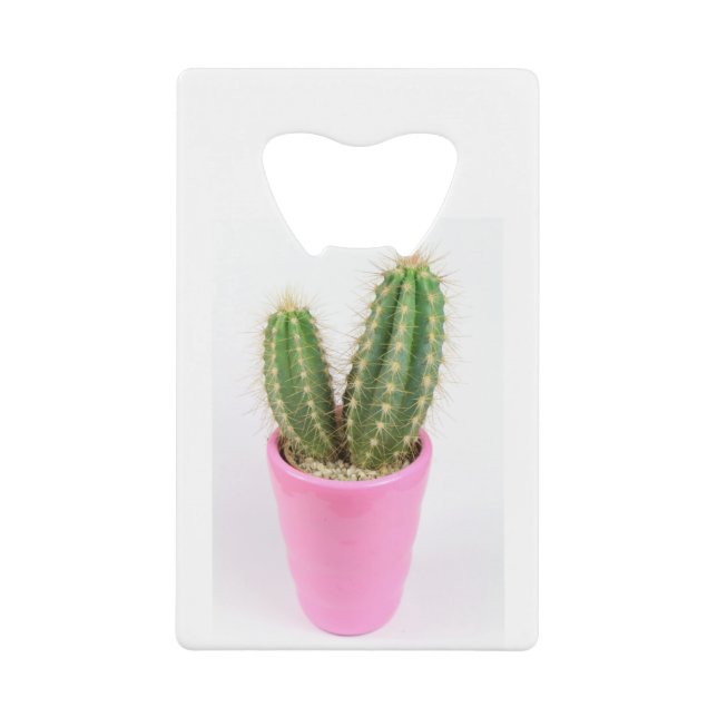Cereus cactus dans un pot rose (Devant)