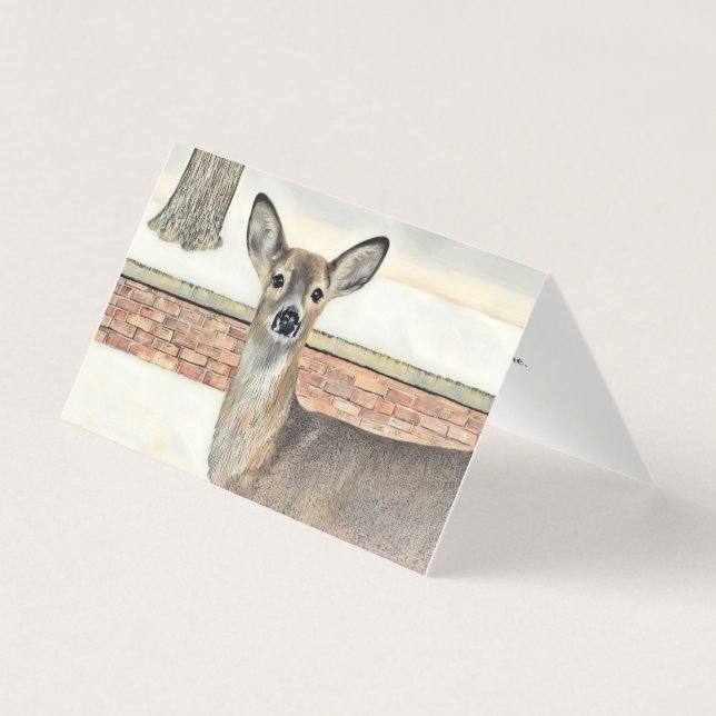 Cerf à queue blanche dans la neige (Front)