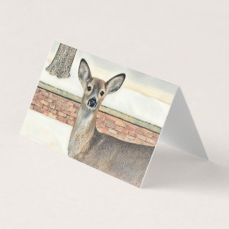 Cerf à queue blanche dans la neige