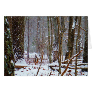 cerf à queue blanche dans la neige