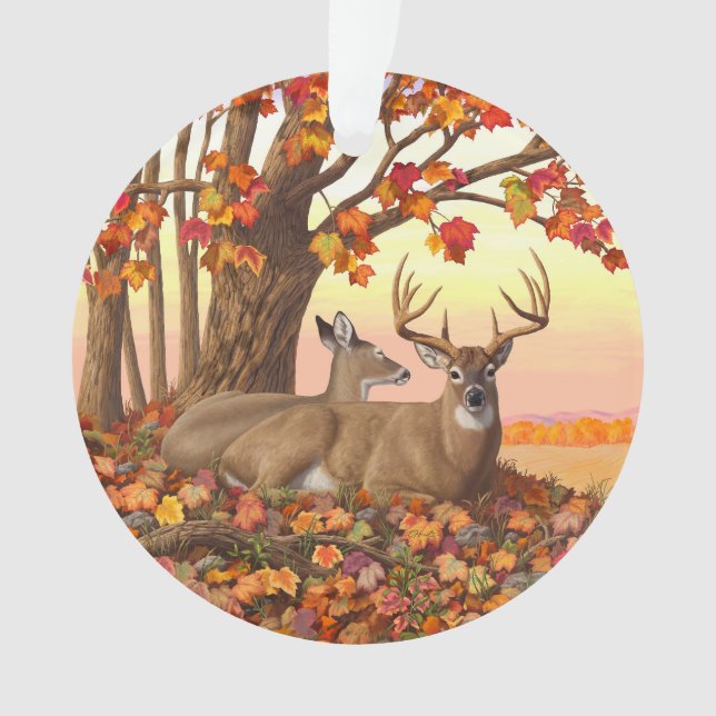 Cerf blanc en automne Nouvelle-Angleterre Couleurs (devant)