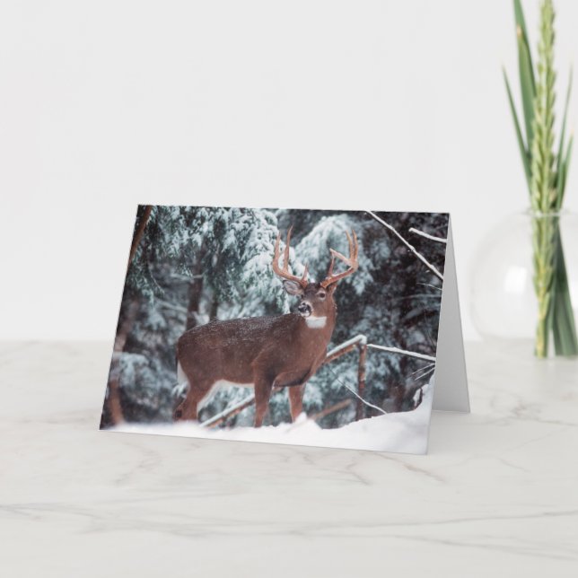 Cerf dans la carte de voeux de neige (Devant)