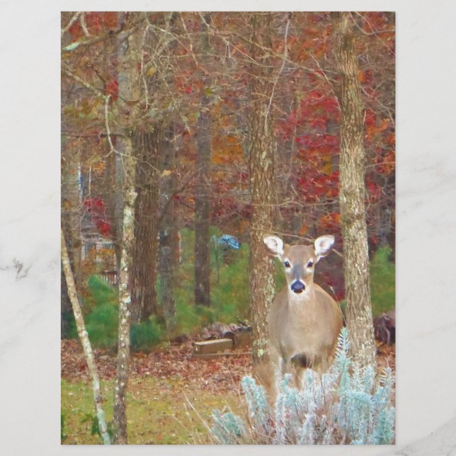 Cerf de Noël (Devant)