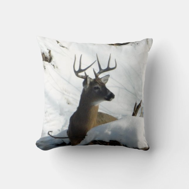 Cerf de Virginie dans le coussin de neige (Recto)