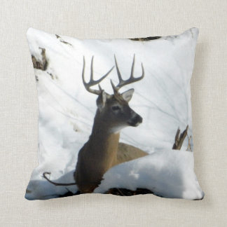 Cerf de Virginie dans le coussin de neige