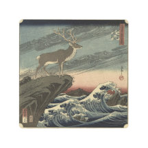 Cerf des tempêtes lié aux marées