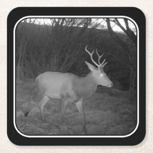 Cerf élaphe au crépuscule Sous-verre en papier