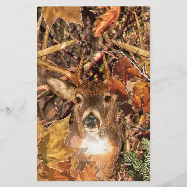 Cerf en camouflage à queue blanche (Devant)