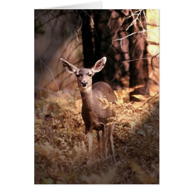 Cerf en forêt (Devant)