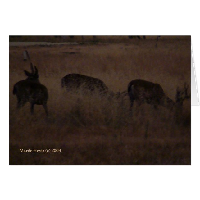 Cerf en herbe sèche (2a) - Personnalisable (Devant Horizontal)