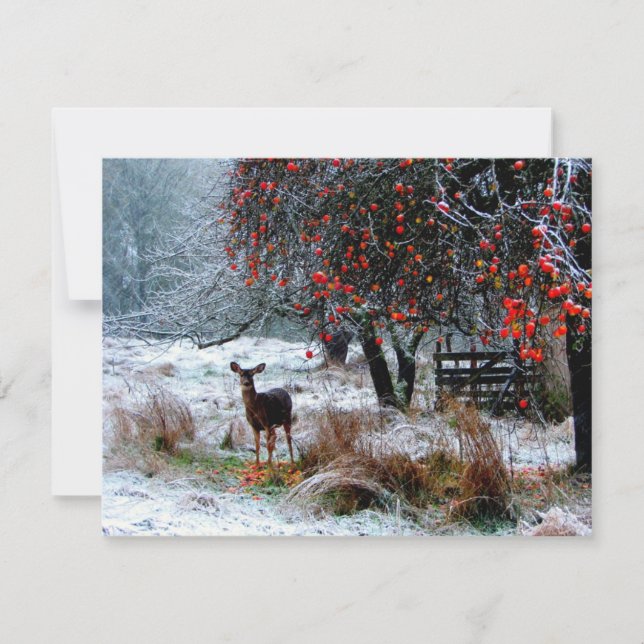 Cerf en hiver (Devant)