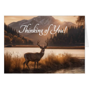 Cerf sur le lac Mountain Blank à l'intérieur