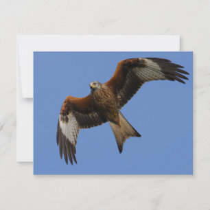 Cerf-volant rouge