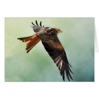 Cerf-volant rouge en vol