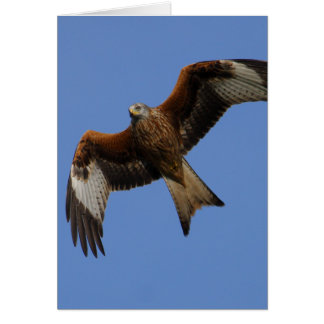 Cerf-volant rouge montant