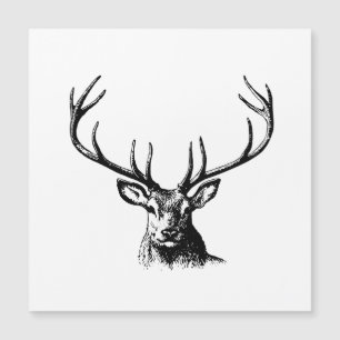 Cerfs Animaux Antlers Nature Faune Hornes Pots