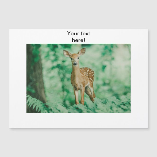 Cerfs communs (Devant)