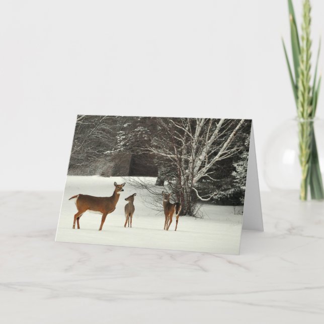 Cerfs communs dans la carte de voeux de neige (Devant)