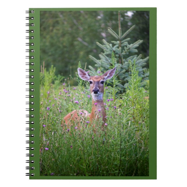 Cerfs communs dans le carnet fleuri de photo de (Devant)
