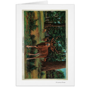 Cerfs communs de mâle au parc national de Yosemite