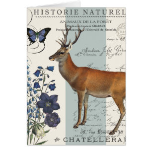 cerfs communs vintages modernes de région boisée