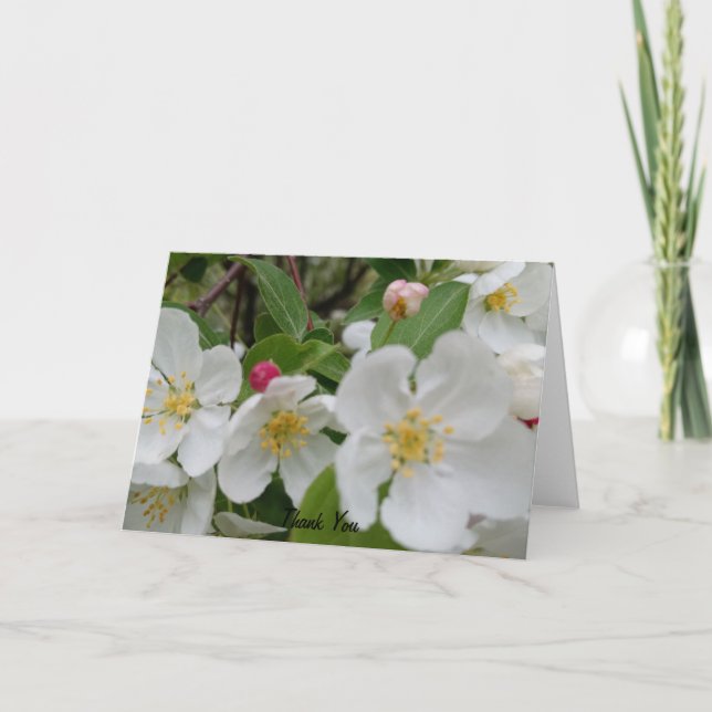 Cerisier Blossom Surprise Carte de remerciements p (Devant)