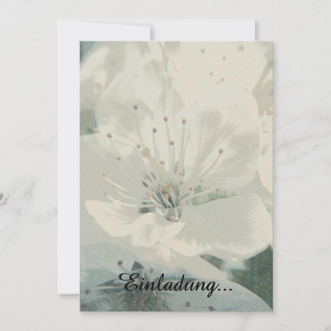 Cerisier en fleurs (Devant)