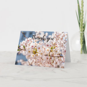 Cerisier Fleur rose Mariage Merci