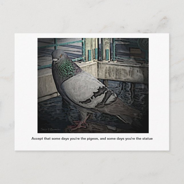 Certains jours, tu es la carte postale Pigeon (Devant)