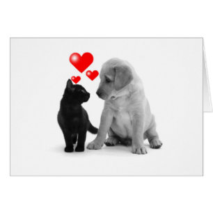 CERTAINS VOIENT DES ÉTOILES - JE VOIS DES COEURS À